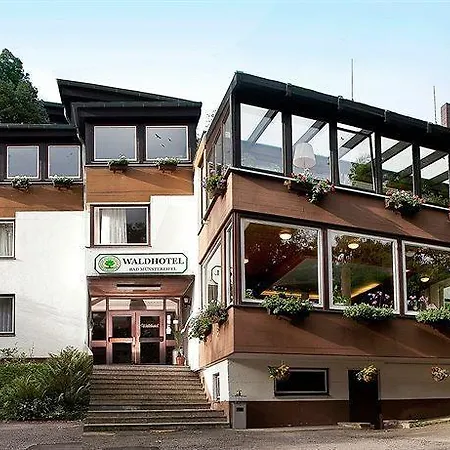 فندق Waldhotel 3*