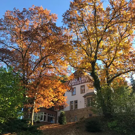 Szálloda Waldhotel Bad Münstereifel